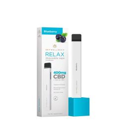 Sky Wellness 400mg RELAX Disposable Pen Blueberry - Blueberry