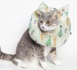 Touchcat 'Ringlet' Licking and Scratching Adjustable Pillow Cat Neck Protector - Blue - Medium