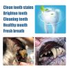 Teeth Brightening Pen For Pet Teeth Repairing Kit,Pet Dog Cat Teeth Cleaning Pen For Dental Care,Pet Teeth Whitening Pen Tool Dog Tooth Cleaning Pen -