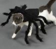 Pet Spider Costume Halloween Simulation Plush Spider Clothe with Adjustable Neck Paste Buckle for Dog Cats Pet - black