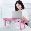 Foldable Laptop Table Bed Notebook Desk with Cooling Fan Mouse Board LED light 4 xUSB Ports Breakfast Snacking Tray - Pink