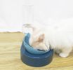 Portable Pet Bowl and Automatic Water Feeder Set, 2 in 1 Food Bowl Dish with Water Dispenser Bottle Tilted - blue