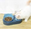 Portable Pet Bowl and Automatic Water Feeder Set, 2 in 1 Food Bowl Dish with Water Dispenser Bottle Tilted - pink